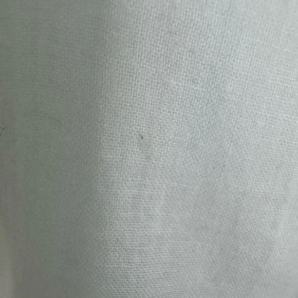 Frank & Eileen Barry Button Down Shirt Mint Green Lightweight 100% Cotton Small - Picture 13 of 13